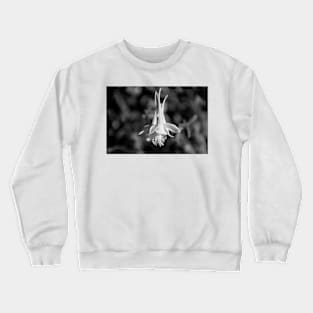 Winter Park 2018 Study 11 Crewneck Sweatshirt